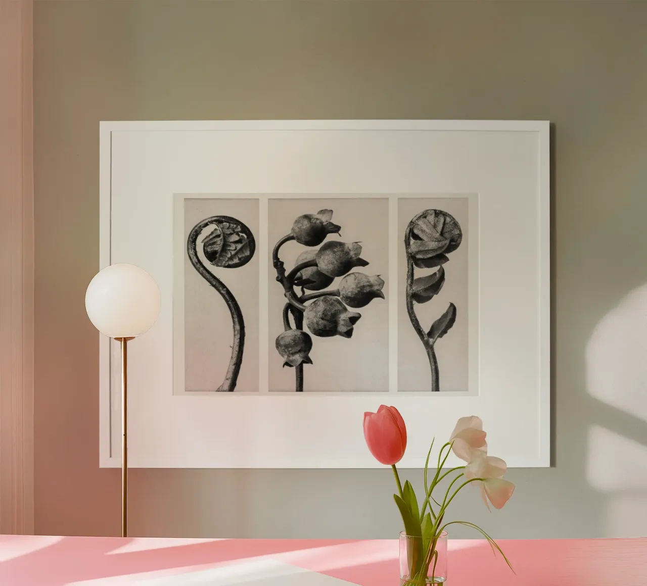 Karl Blossfeldt - Polypodiaceae Aspidieae 02 poster with plastic frame by Old Masters