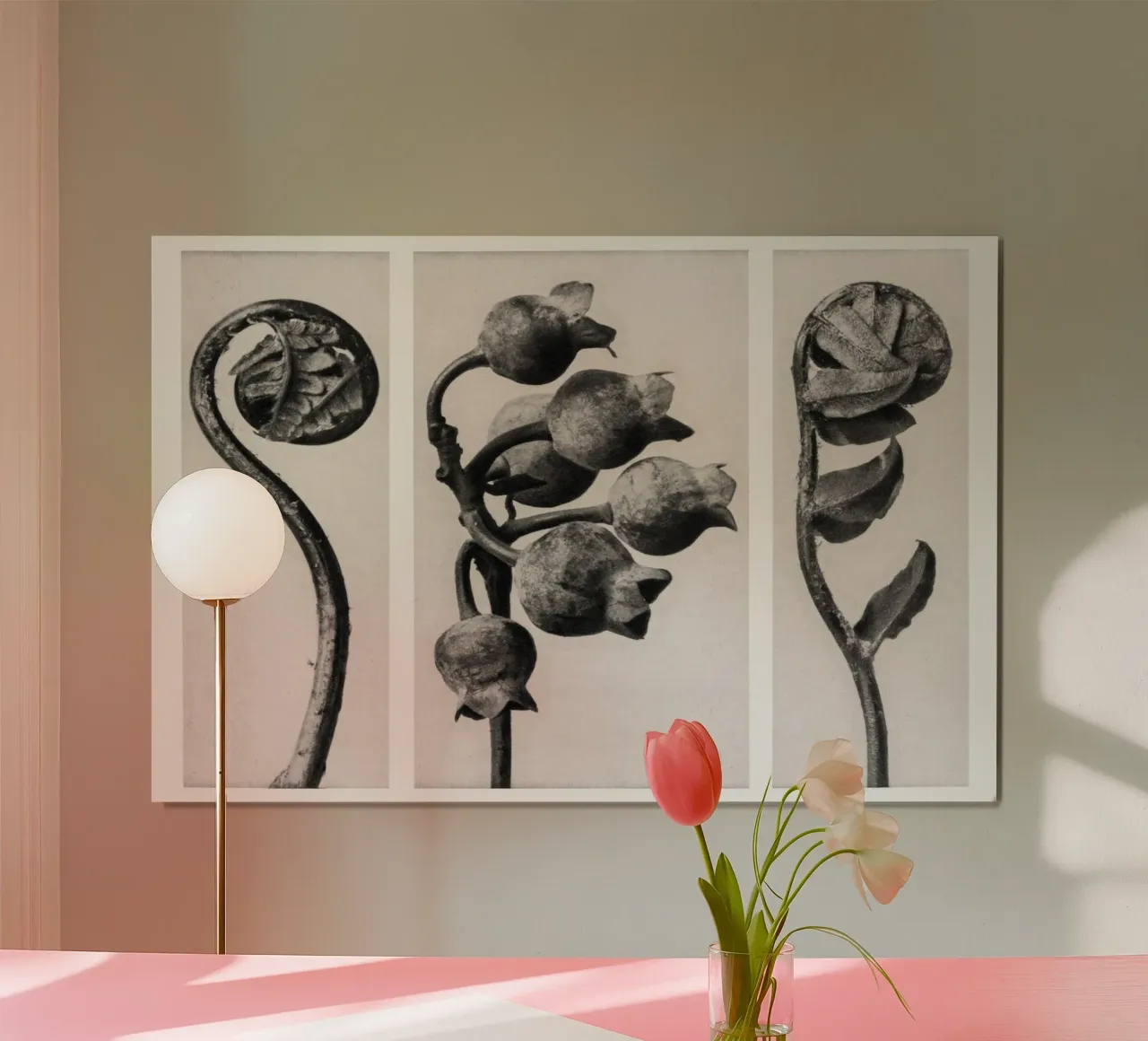 Karl Blossfeldt - Polypodiaceae Aspidieae 02 poster with plastic frame by Old Masters