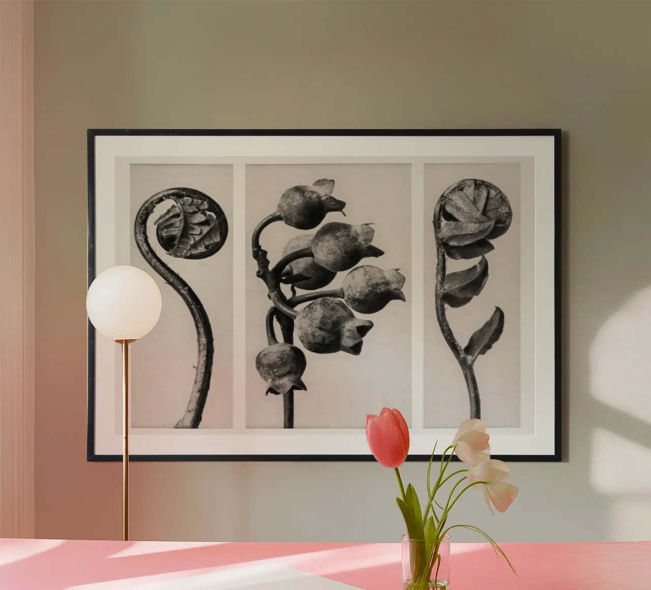 Karl Blossfeldt - Polypodiaceae Aspidieae 02 poster with plastic frame by Old Masters