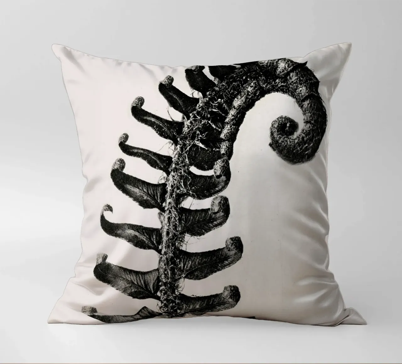 Karl Blossfeldt - Polystichum Munitum cuscino da Old Masters