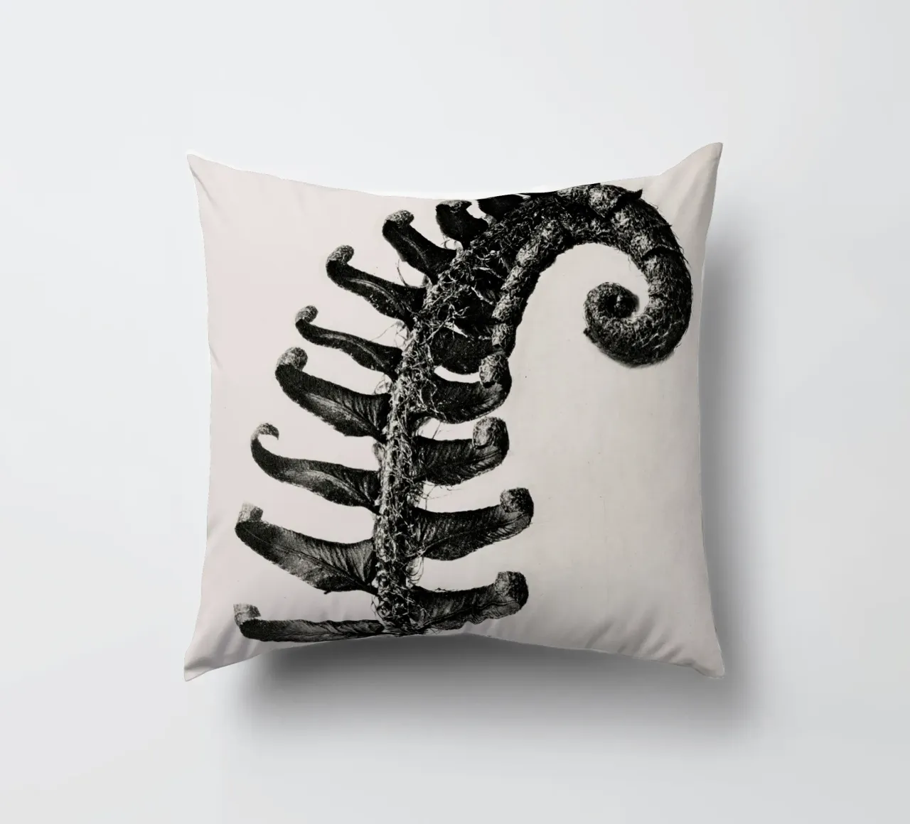 Karl Blossfeldt - Polystichum Munitum cuscino da Old Masters