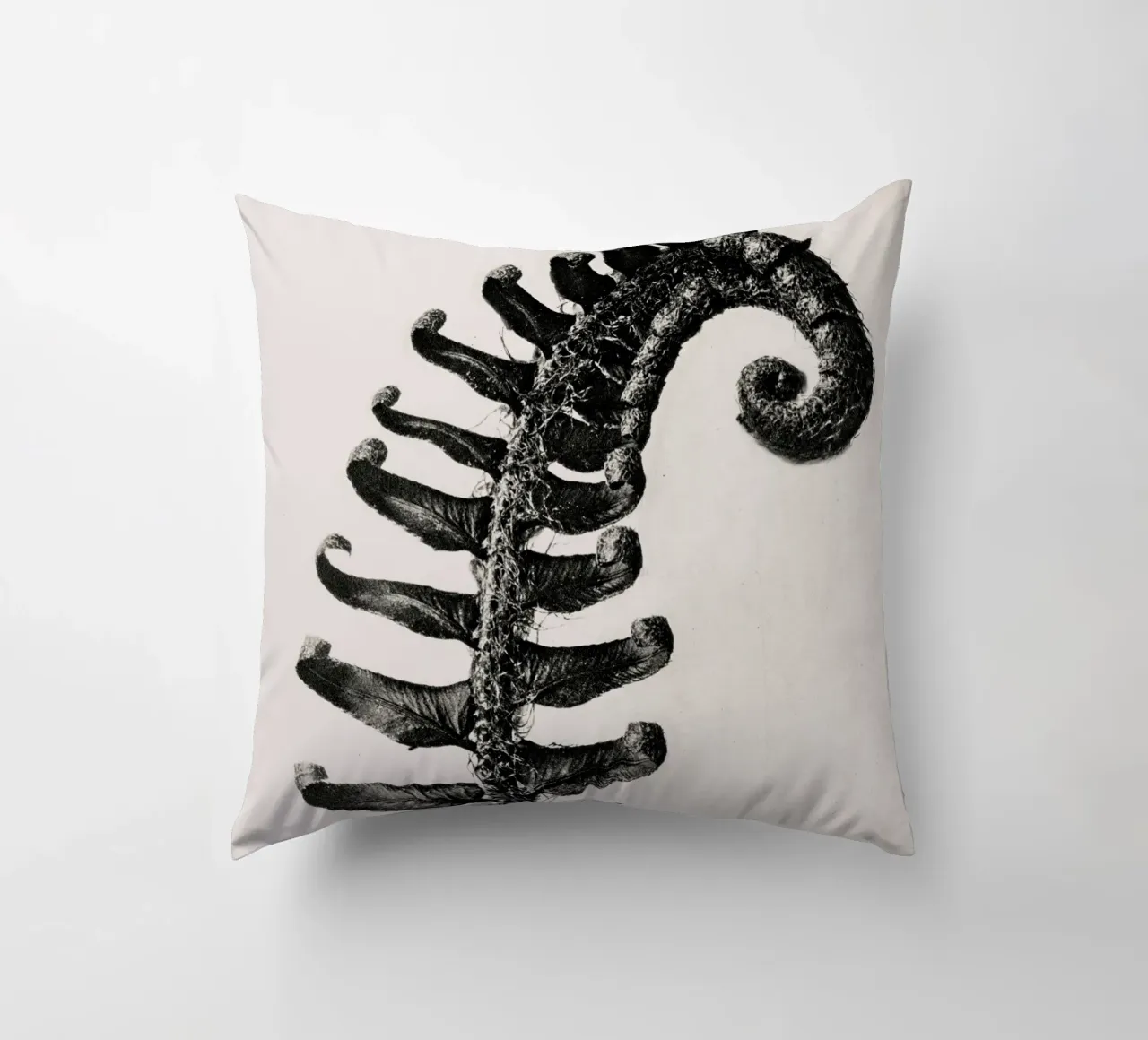 Karl Blossfeldt - Polystichum Munitum cuscino da Old Masters