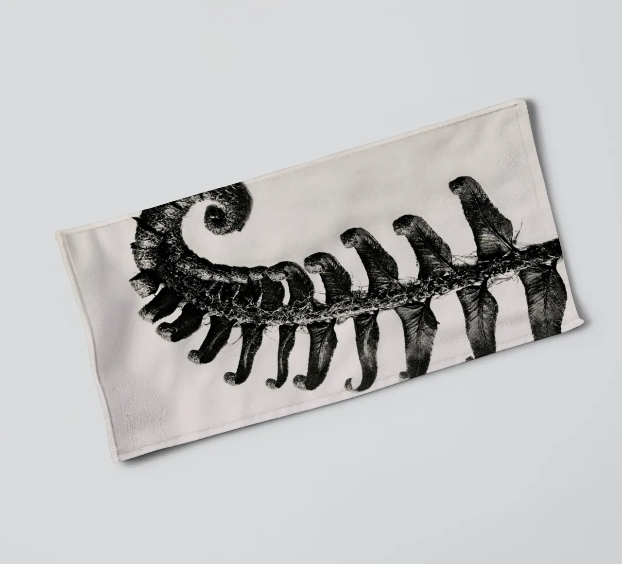 Karl Blossfeldt - Polystichum Munitum asciugamano da bagno da Old Masters