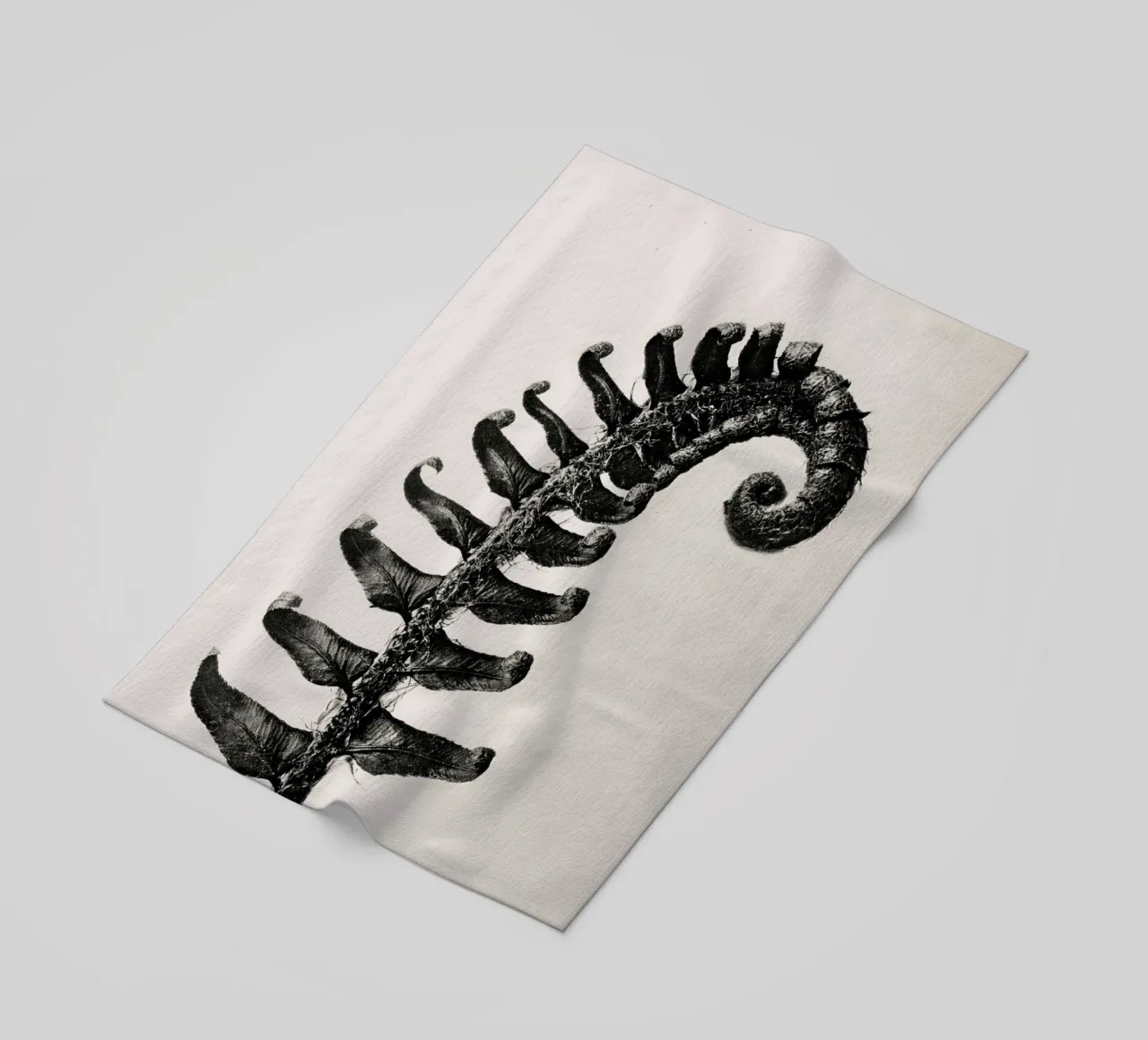 Karl Blossfeldt - Polystichum Munitum telo mare da Old Masters
