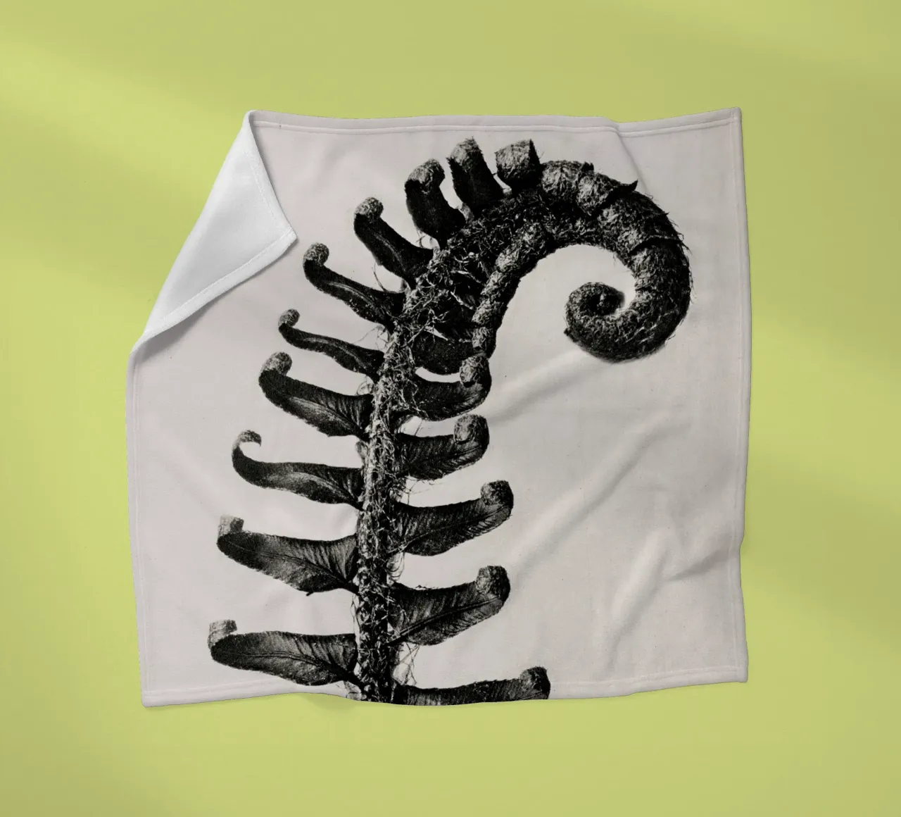 Karl Blossfeldt - Polystichum Munitum coperta in pile da Old Masters