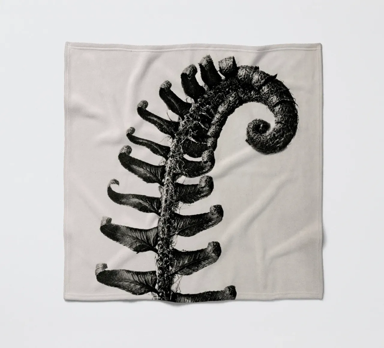 Karl Blossfeldt - Polystichum Munitum coperta in pile da Old Masters