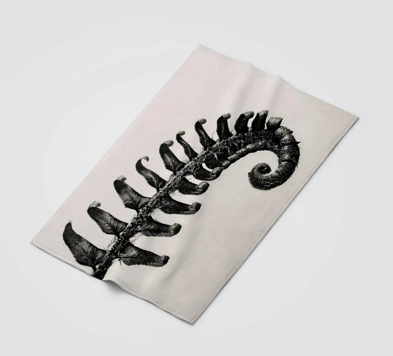 Karl Blossfeldt - Polystichum Munitum coperta in pile da Old Masters