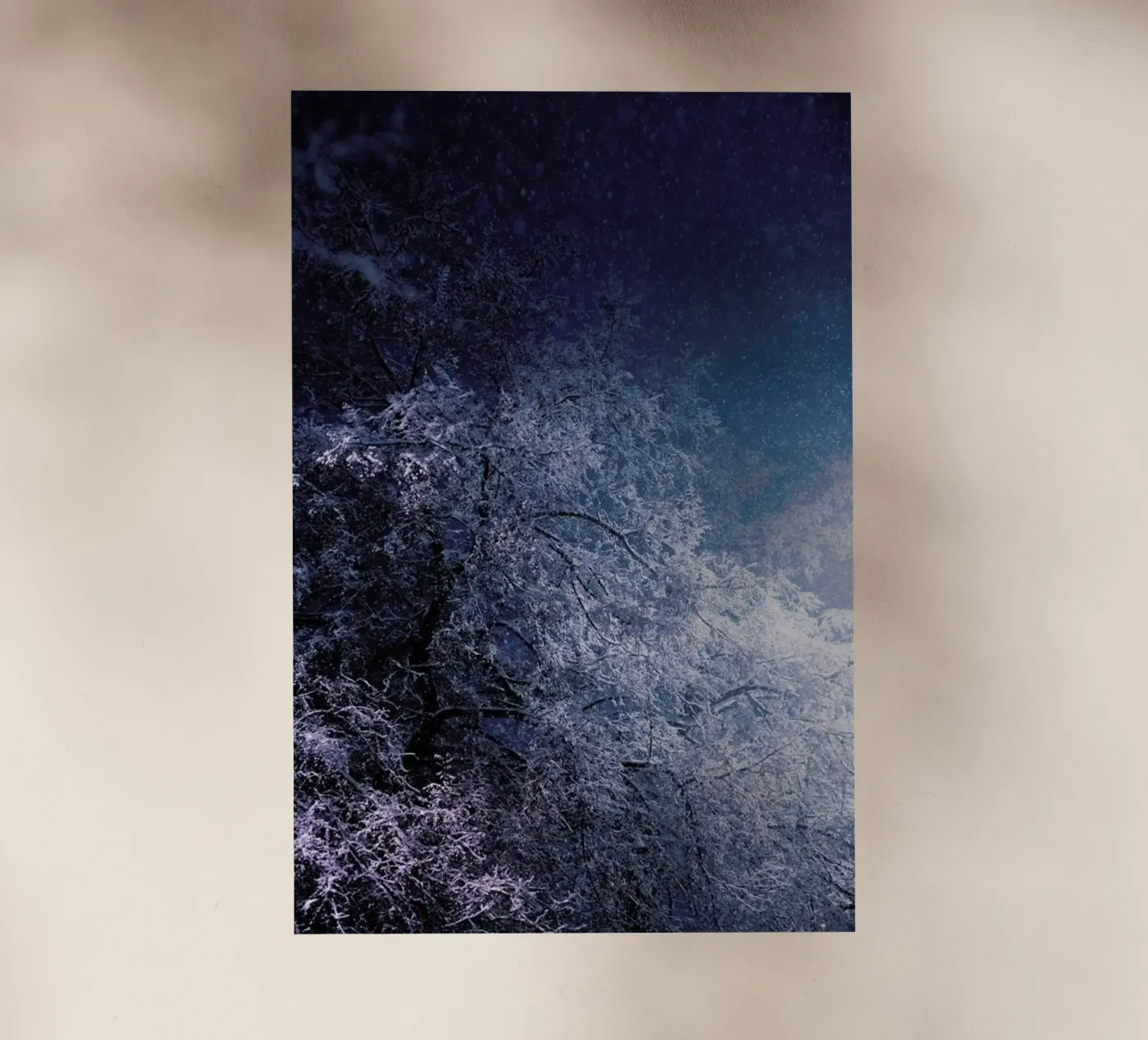 Winter Night pellicola backlit da Jovana Rikalo