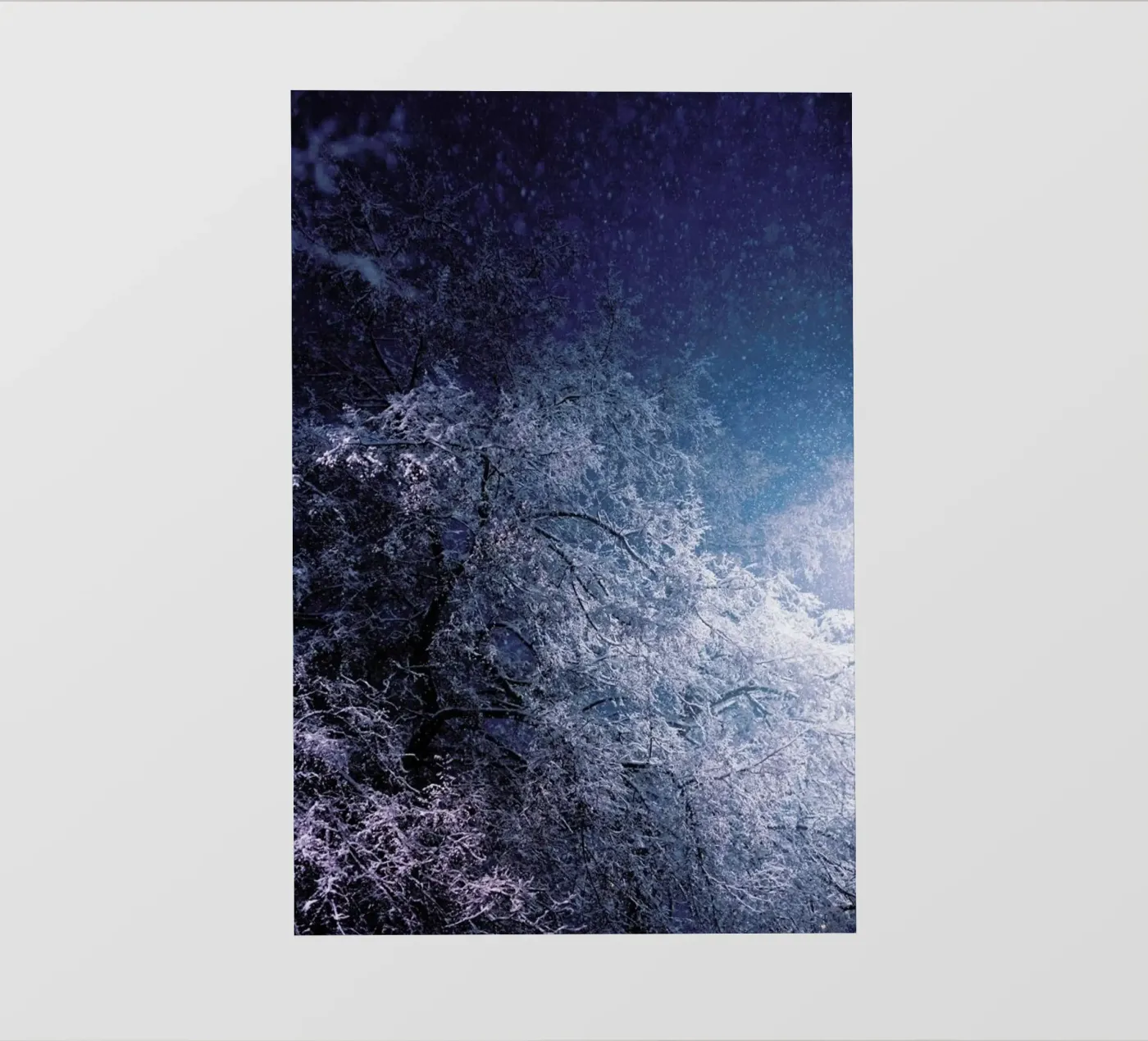 Winter Night pellicola backlit da Jovana Rikalo