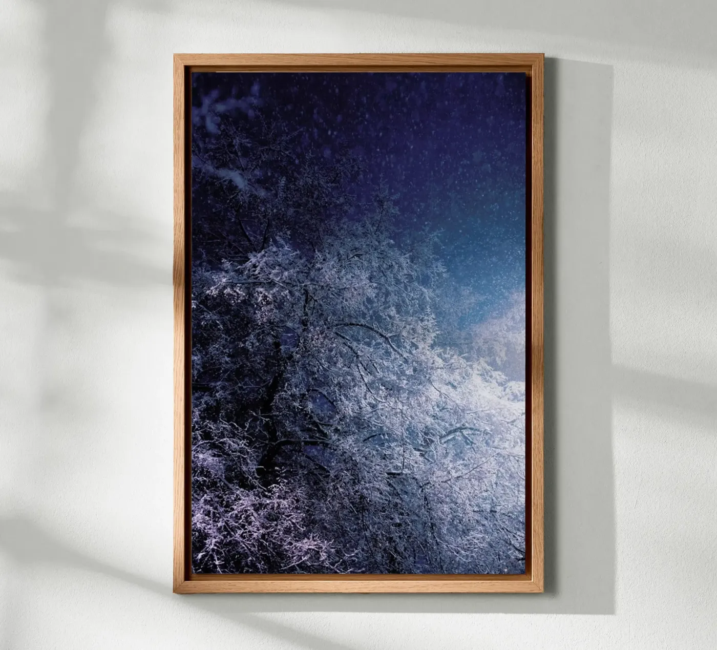 Winter Night alluminio dibond da Jovana Rikalo