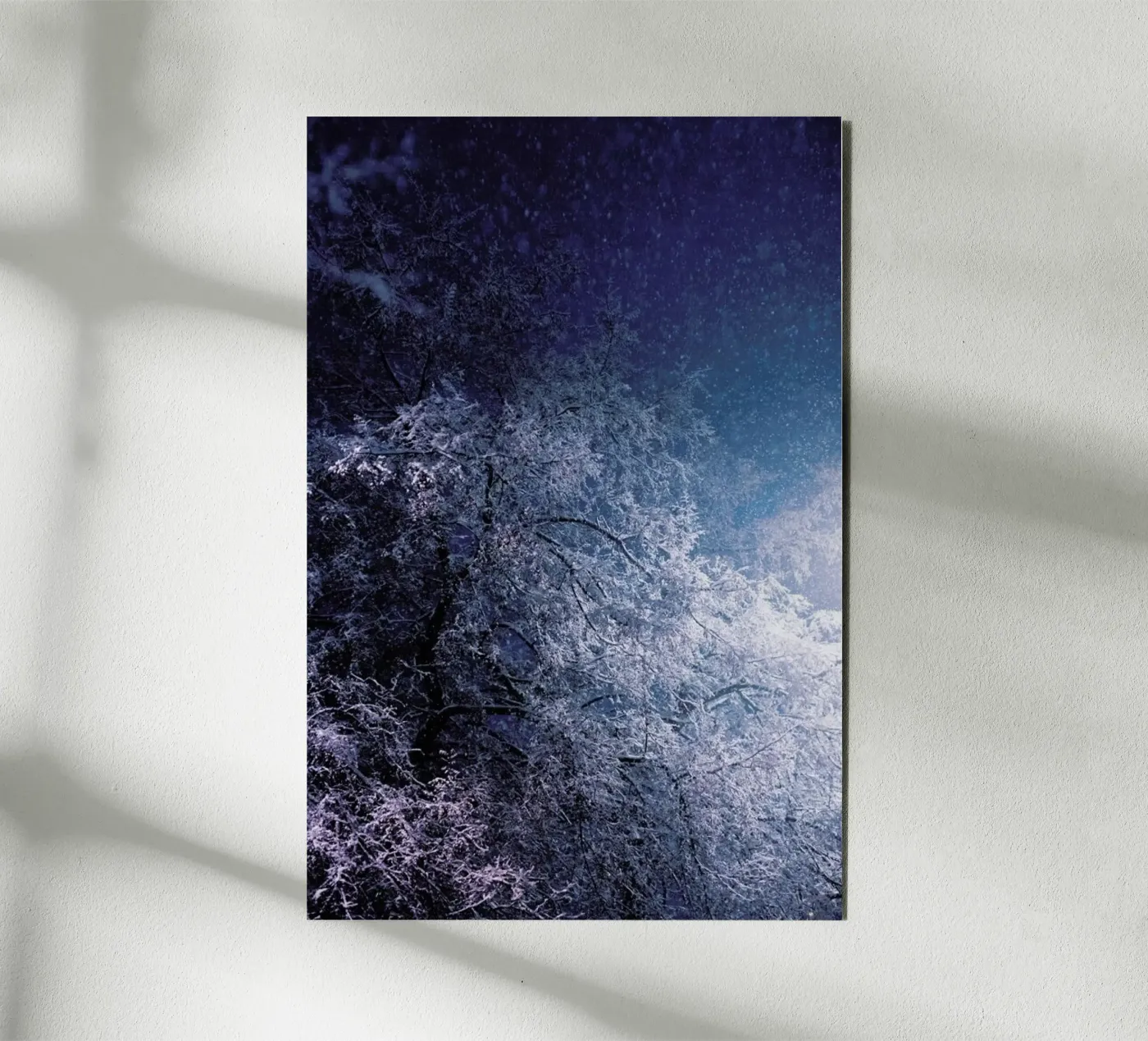 Winter Night alluminio dibond da Jovana Rikalo