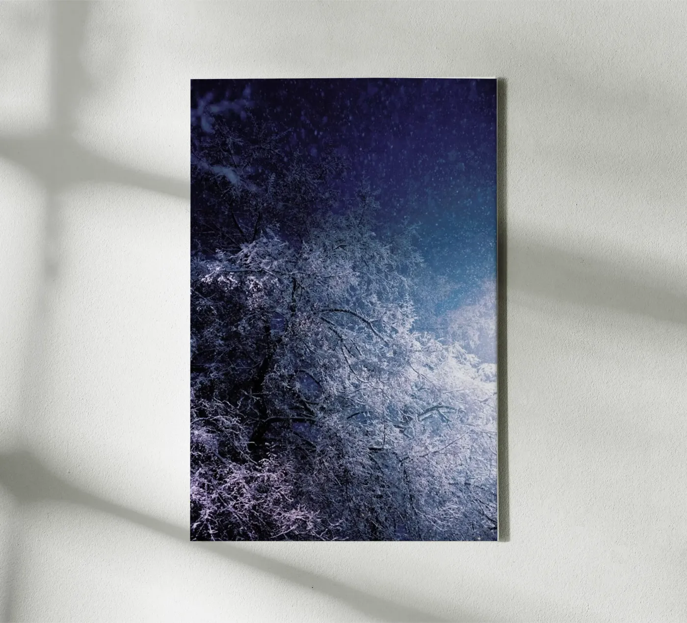 Winter Night canvas by Jovana Rikalo