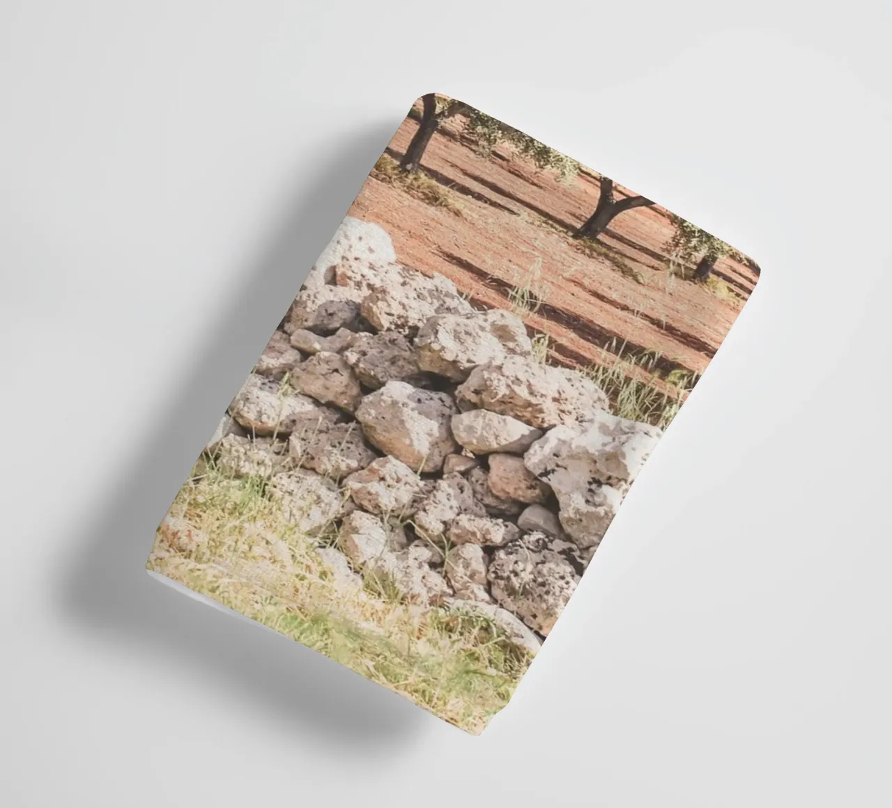 Puglia, Italy I Field of olive trees in a nature park towel by Julie Travel Photography