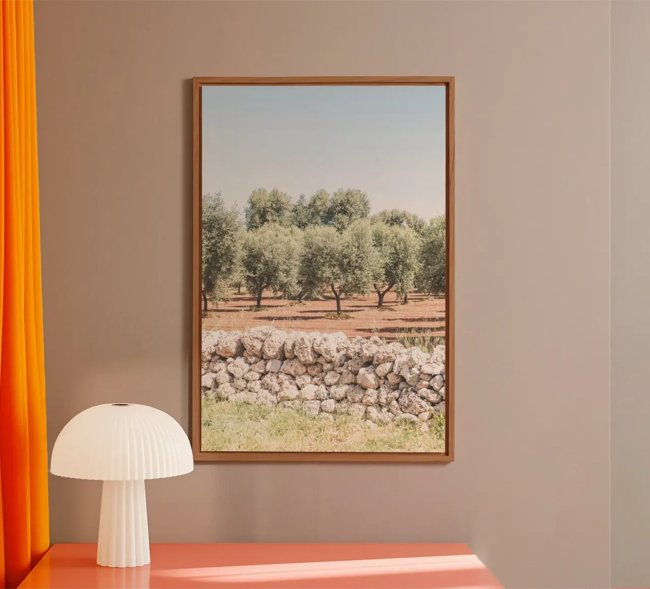 Puglia, Italy I Field of olive trees in a nature park alu-dibond by Julie Travel Photography