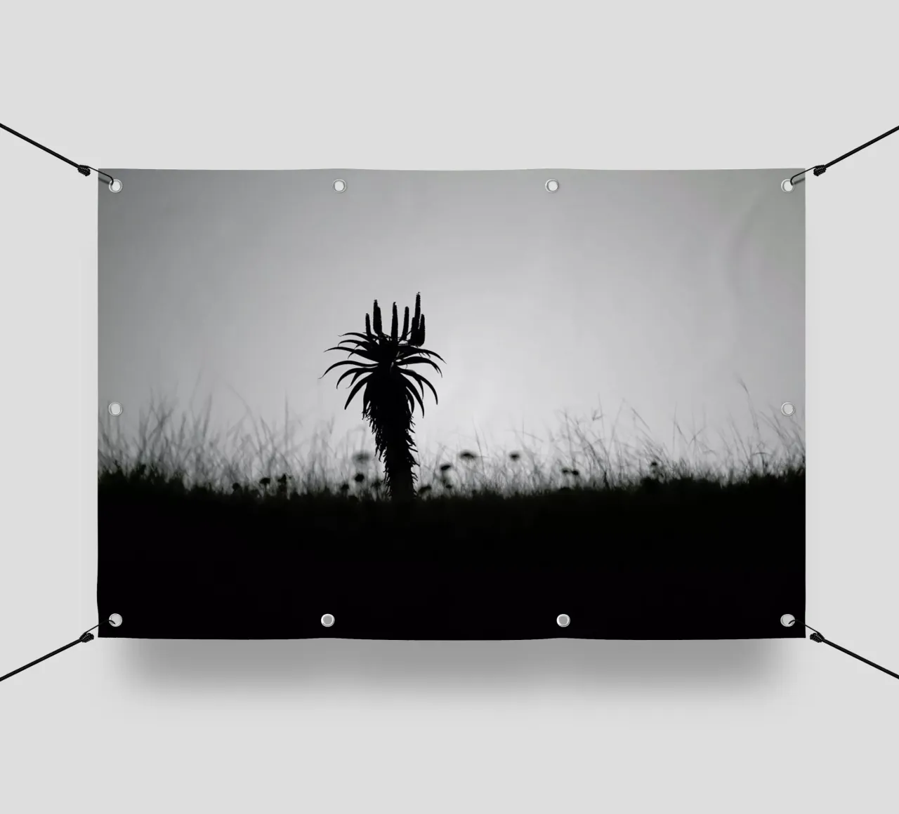 Aloe Ridge telo in pvc da Shot By Clint