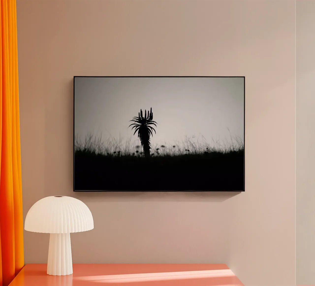 Aloe Ridge plexiglass da Shot By Clint