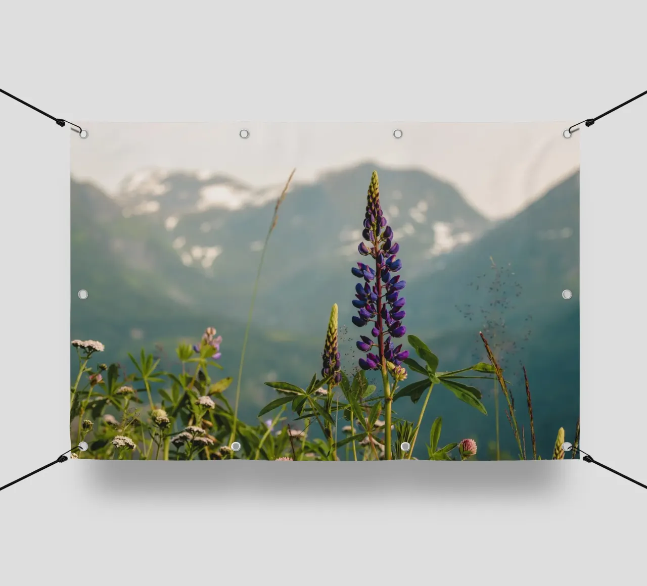 Fiori in montagna telo in pvc da thetraveller