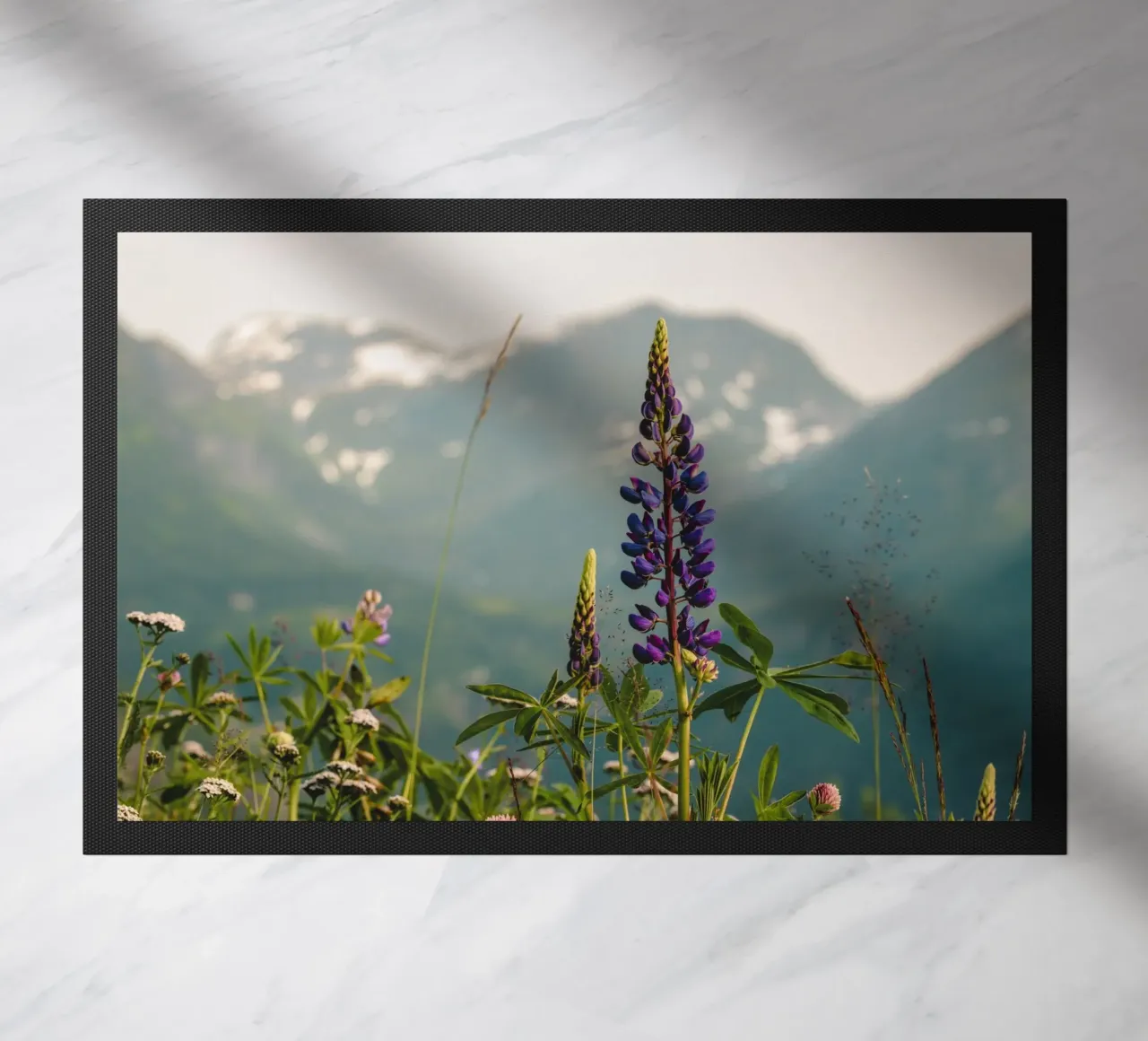 Fiori in montagna zerbino da thetraveller