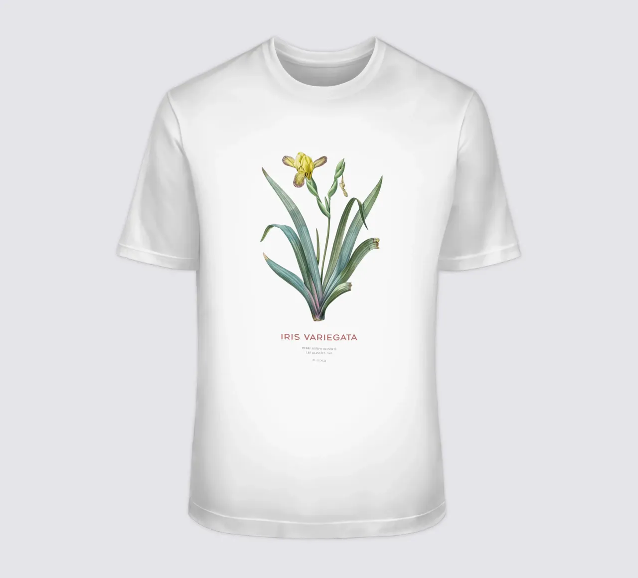 Hungarian iris or Iris variegata t-shirt by Vintagrafica