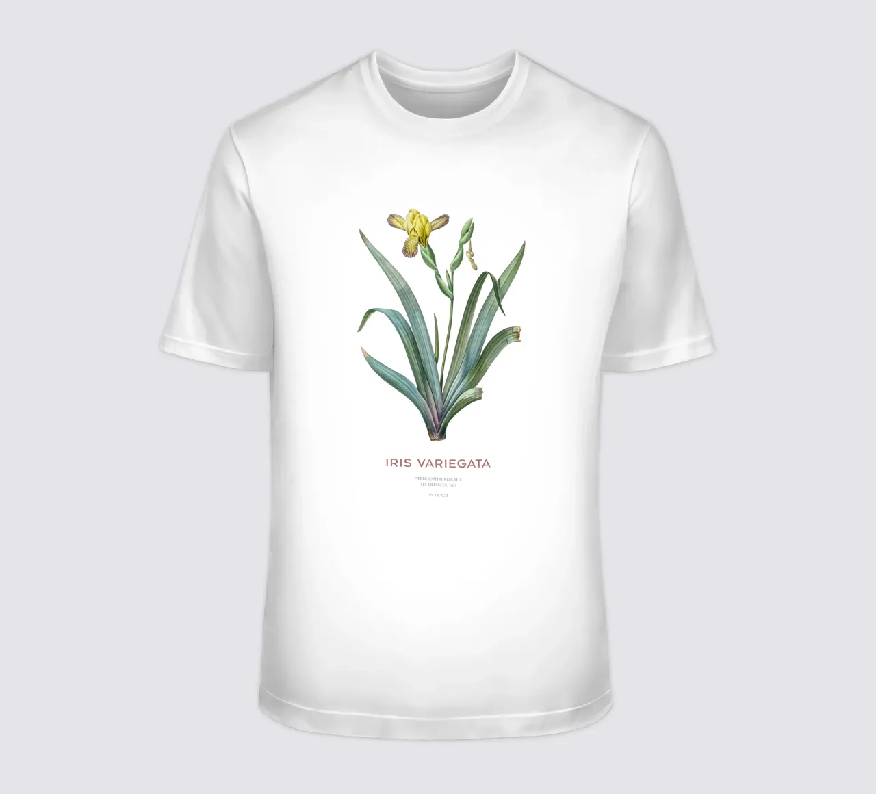 Iris ungherese o Iris variegata t-shirt da Vintagrafica