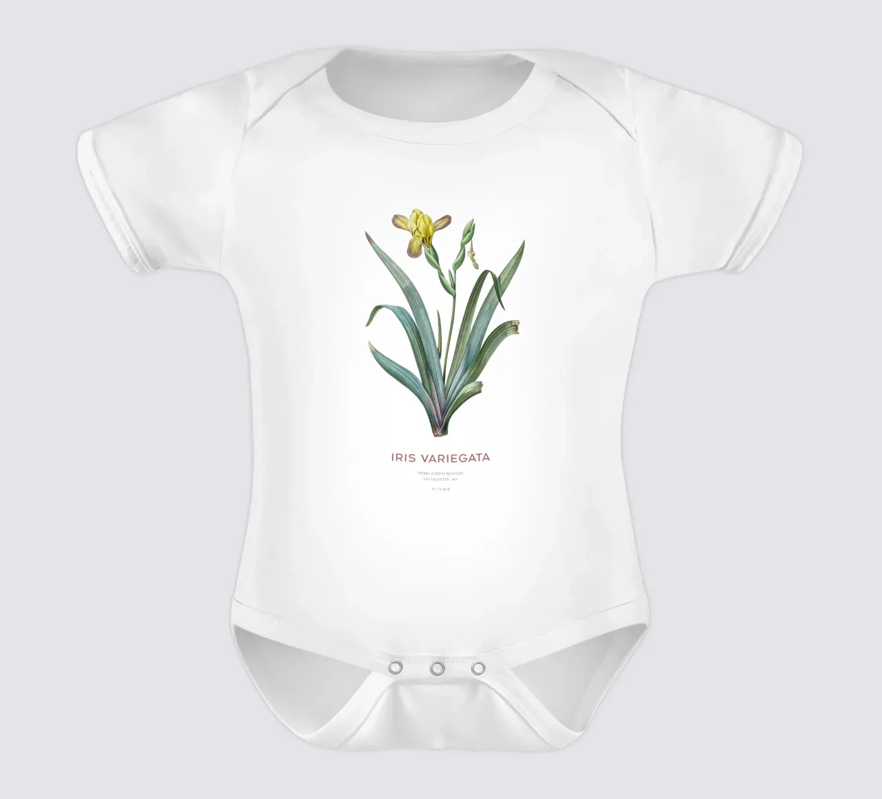 Iris ungherese o Iris variegata body neonato maniche corte da Vintagrafica