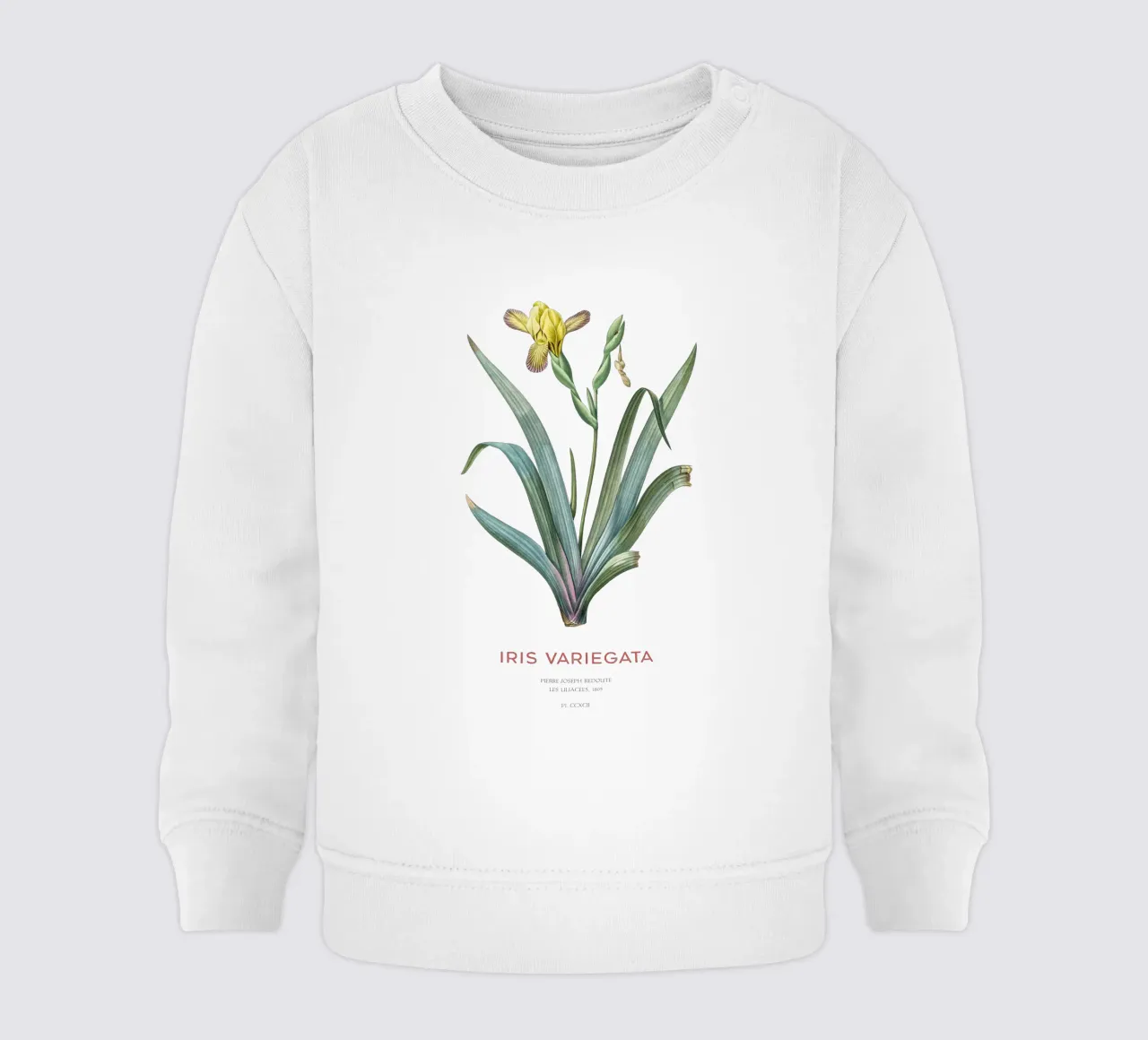 Iris ungherese o Iris variegata felpa neonato da Vintagrafica