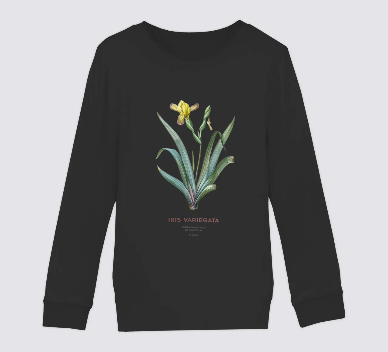 Iris ungherese o Iris variegata felpa bambino da Vintagrafica