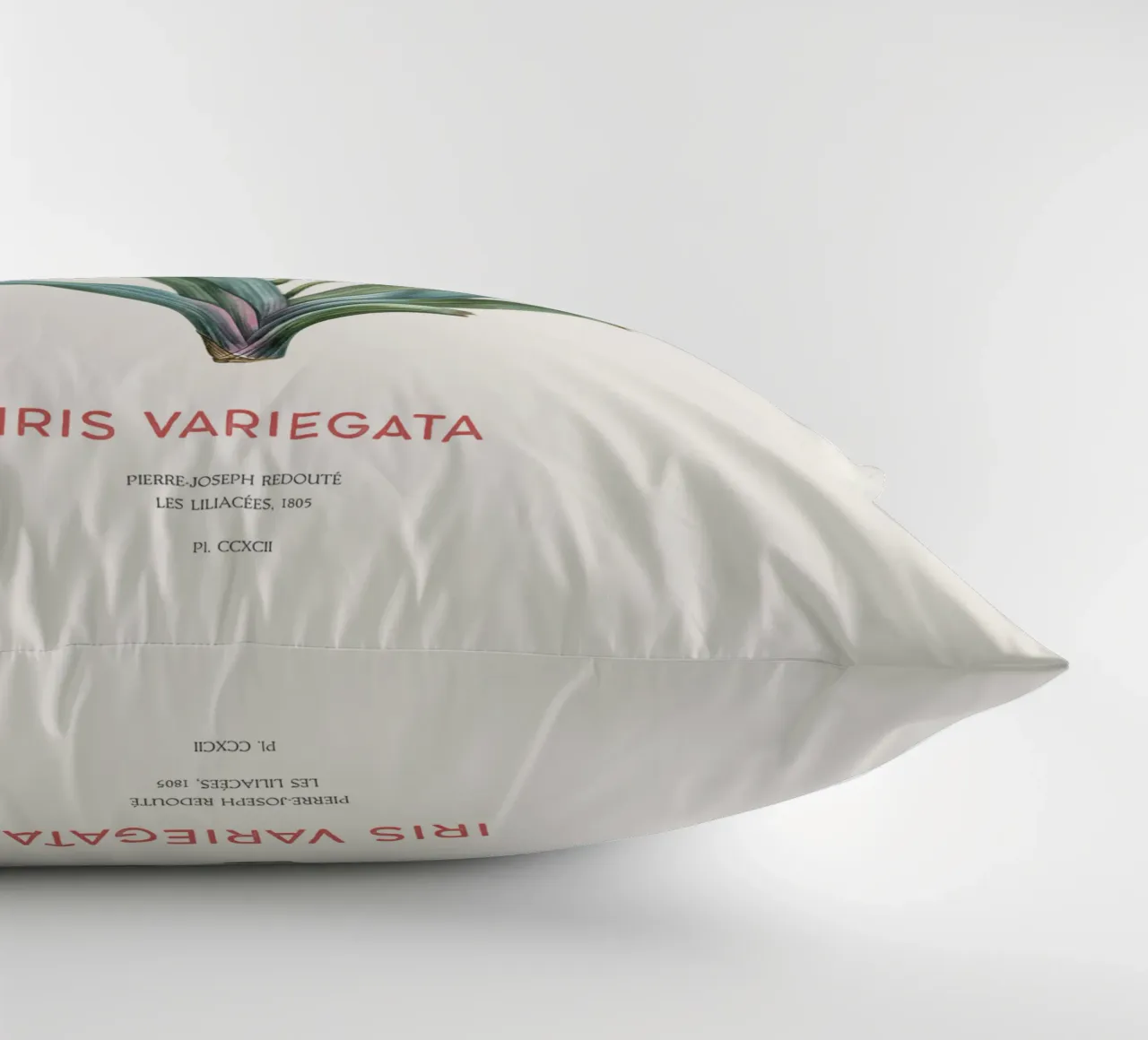 Iris ungherese o Iris variegata cuscino da Vintagrafica
