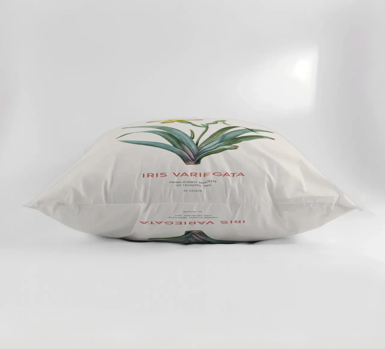 Iris ungherese o Iris variegata cuscino da Vintagrafica