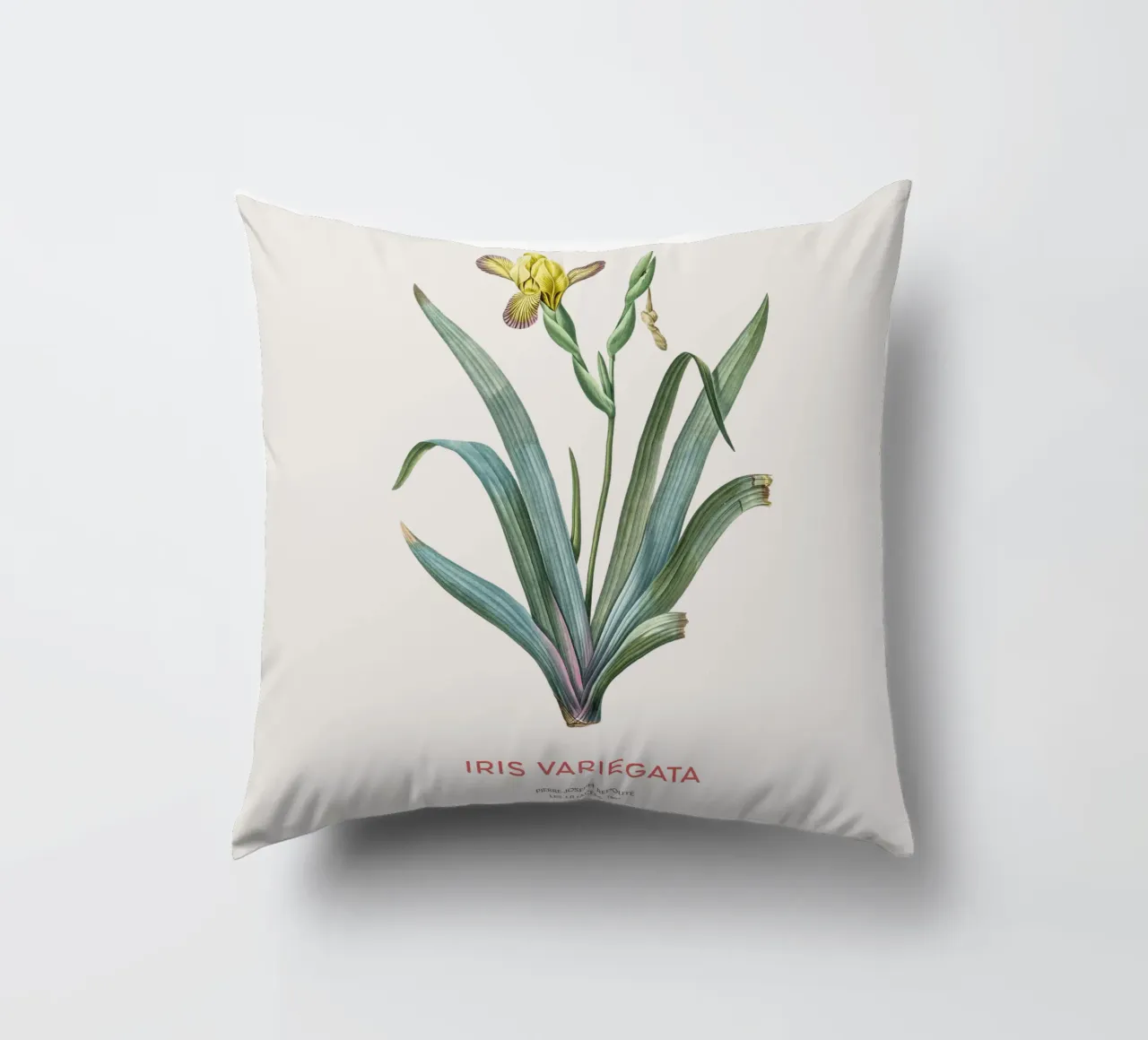 Iris ungherese o Iris variegata cuscino da Vintagrafica