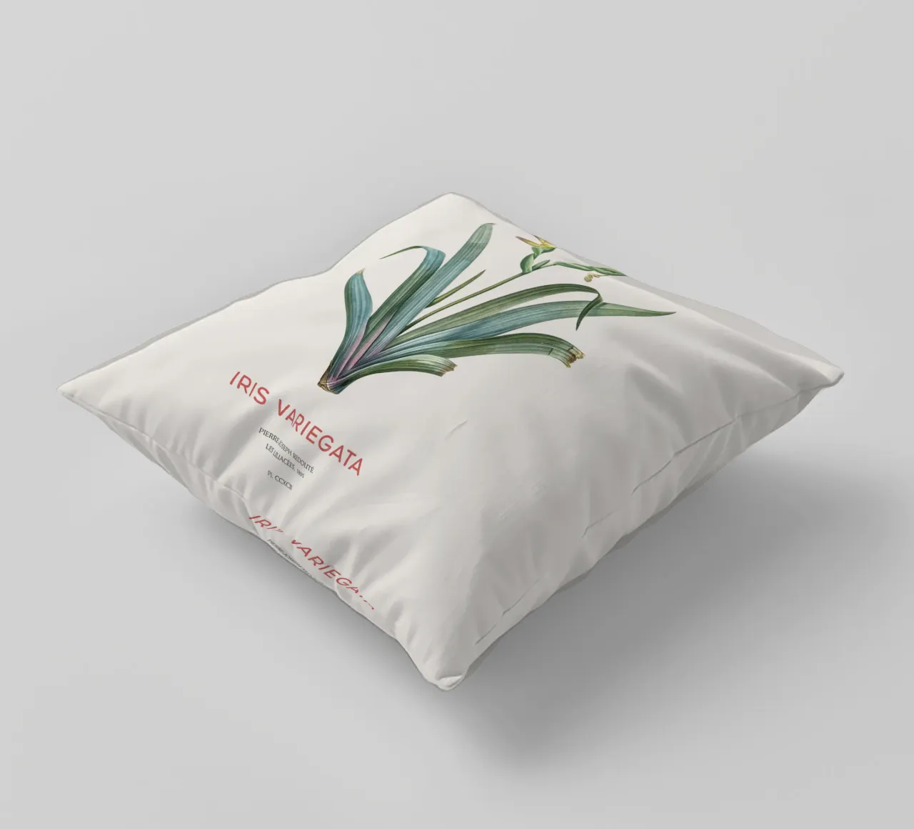 Iris ungherese o Iris variegata cuscino da Vintagrafica