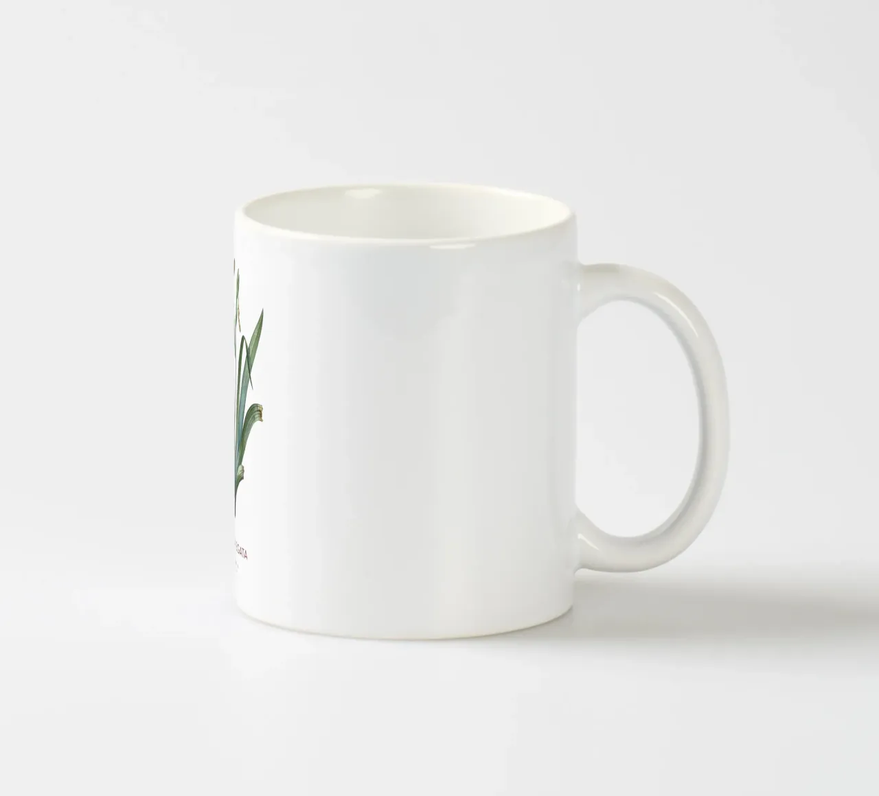 Iris ungherese o Iris variegata tazza in ceramica da Vintagrafica