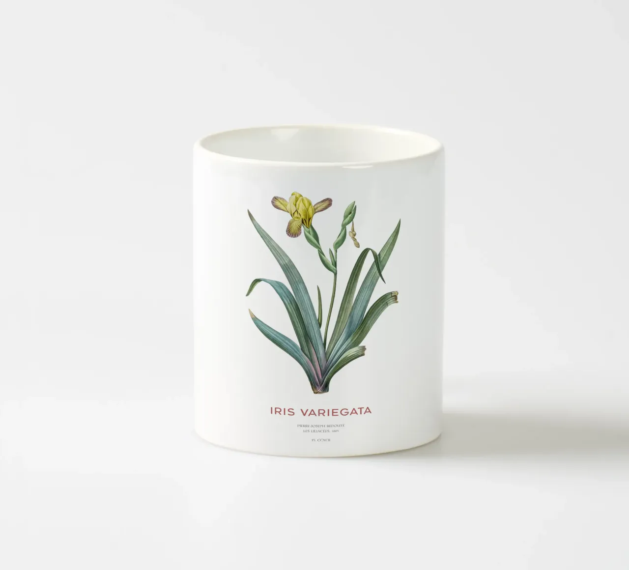 Iris ungherese o Iris variegata tazza in ceramica da Vintagrafica