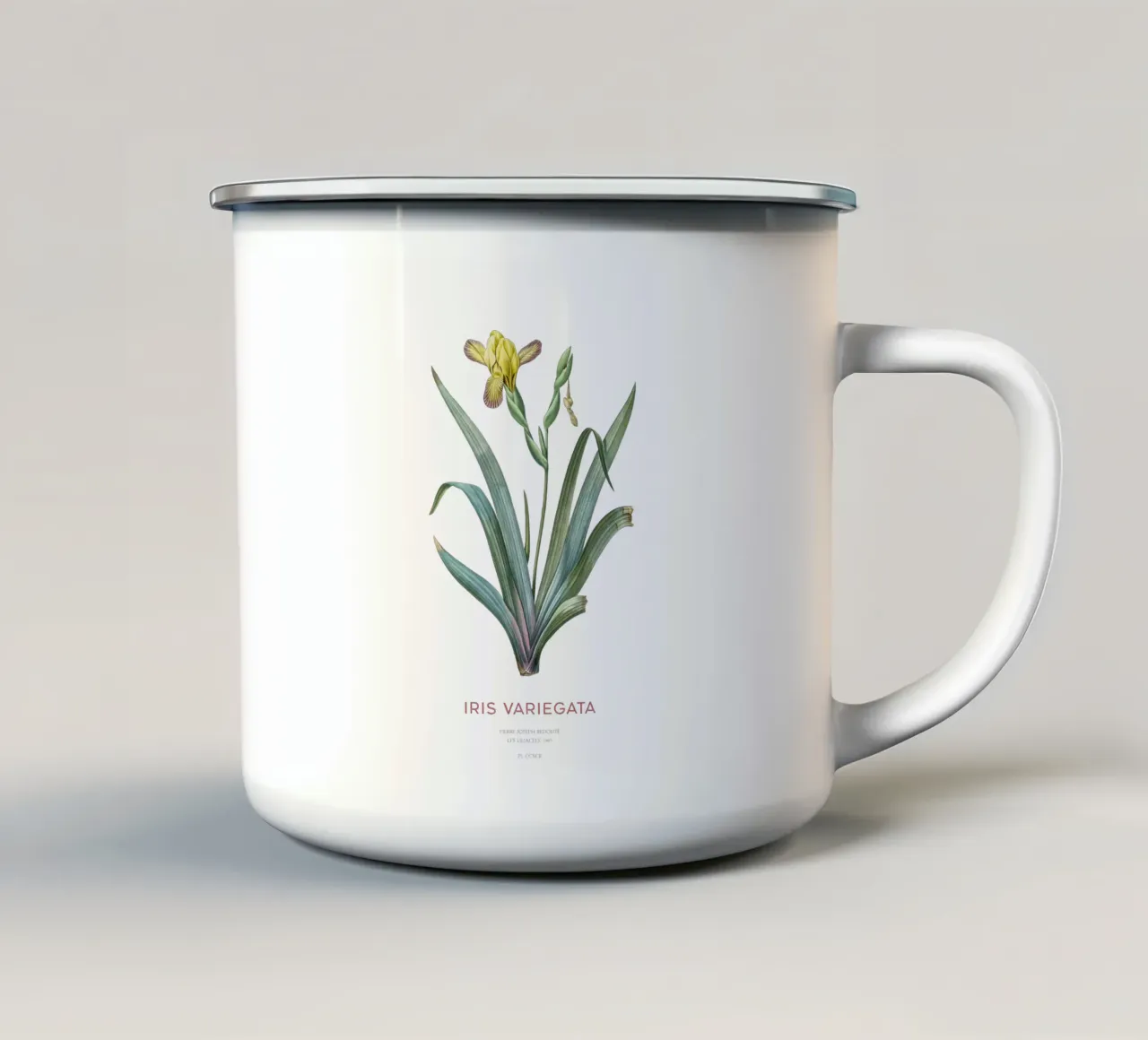 Iris ungherese o Iris variegata tazza in smalto da Vintagrafica