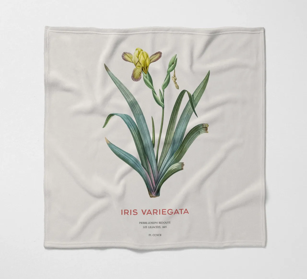 Iris ungherese o Iris variegata coperta in pile da Vintagrafica