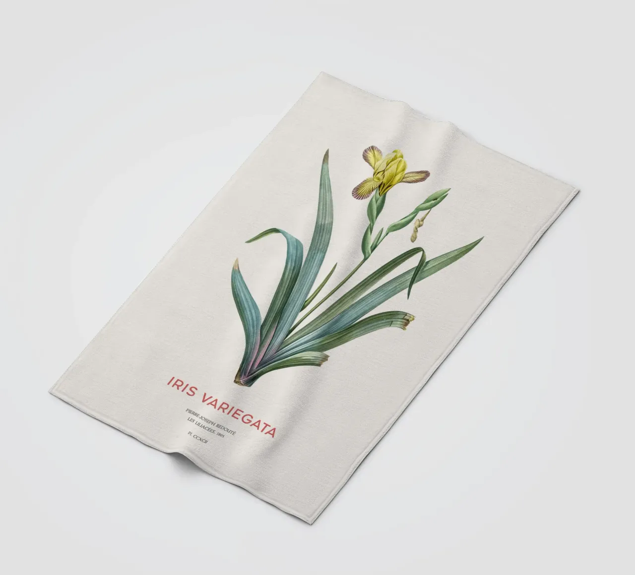Iris ungherese o Iris variegata coperta in pile da Vintagrafica