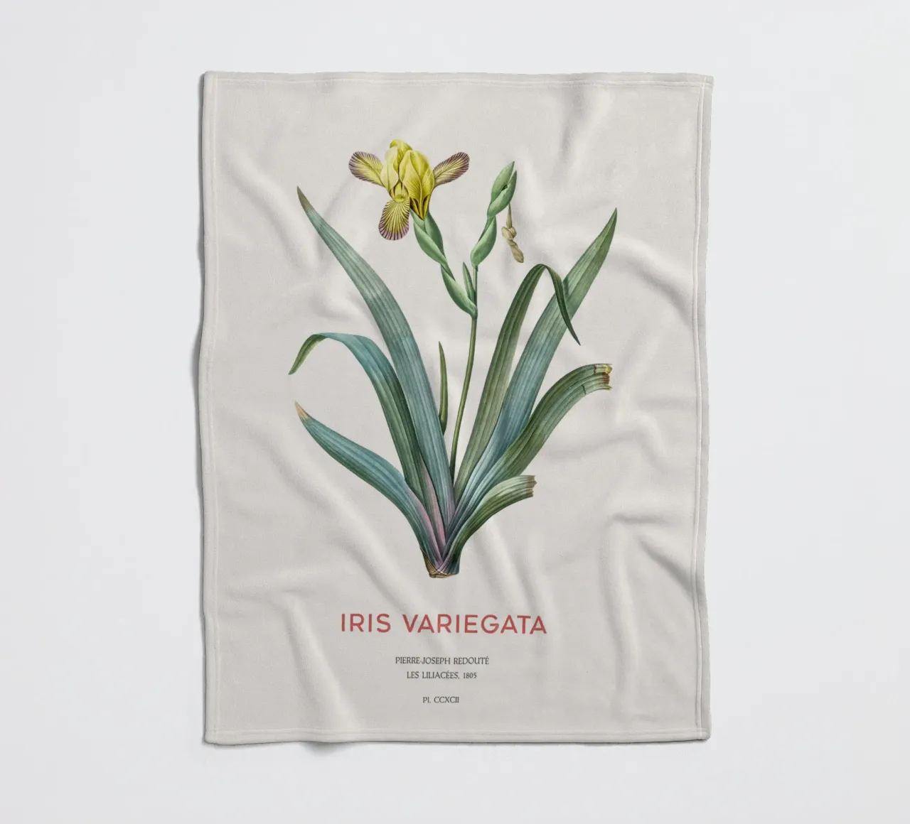 Iris ungherese o Iris variegata coperta in pile da Vintagrafica