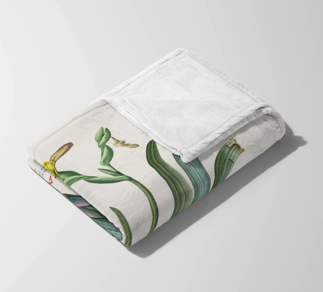 Iris ungherese o Iris variegata coperta in pile da Vintagrafica