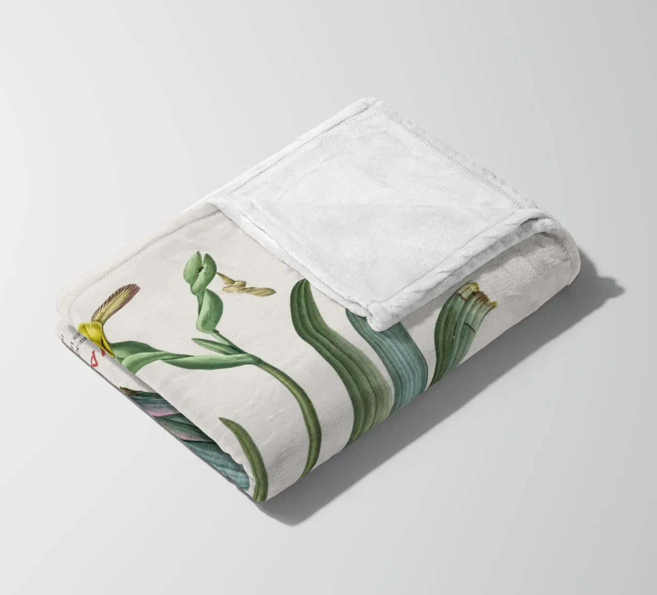 Iris ungherese o Iris variegata coperta in pile da Vintagrafica