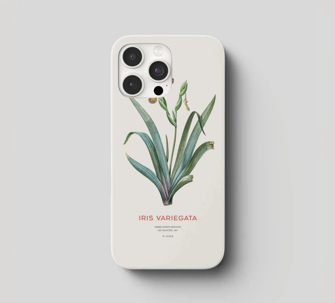 Iris ungherese o Iris variegata cover iphone da Vintagrafica