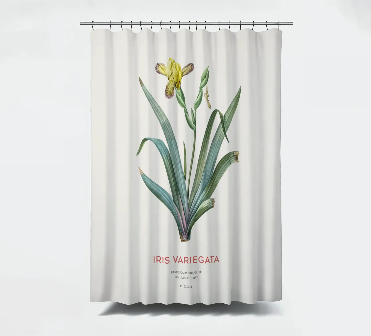 Iris ungherese o Iris variegata tenda da doccia da Vintagrafica