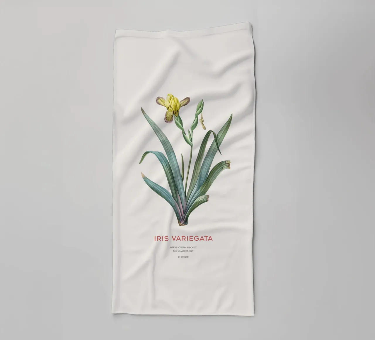 Iris ungherese o Iris variegata asciugamano da bagno da Vintagrafica