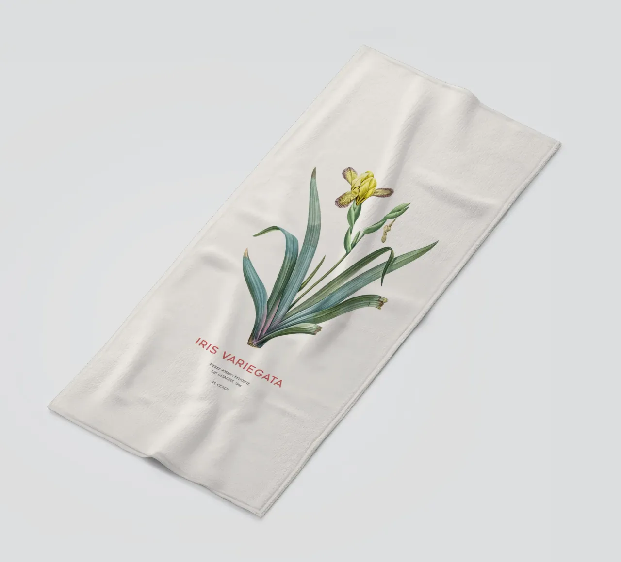 Iris ungherese o Iris variegata telo mare da Vintagrafica