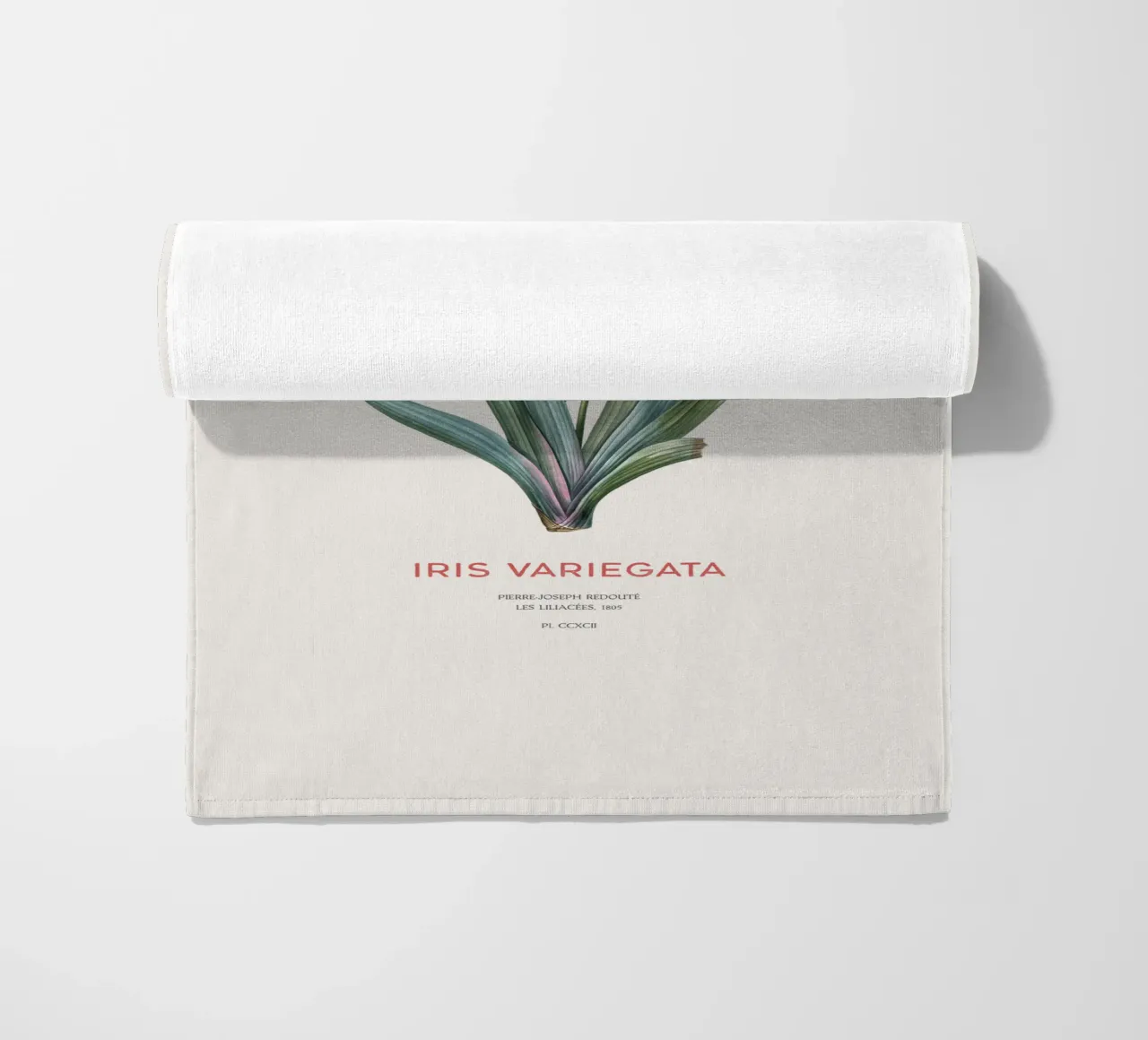 Iris ungherese o Iris variegata telo mare da Vintagrafica