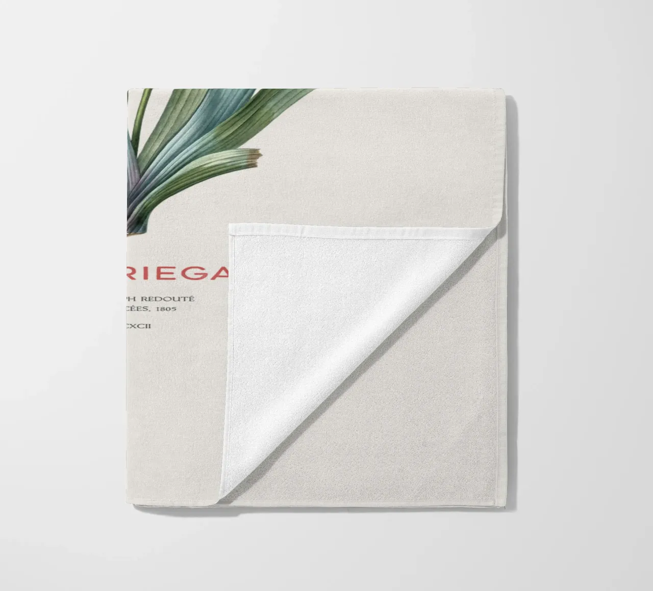 Iris ungherese o Iris variegata telo mare da Vintagrafica