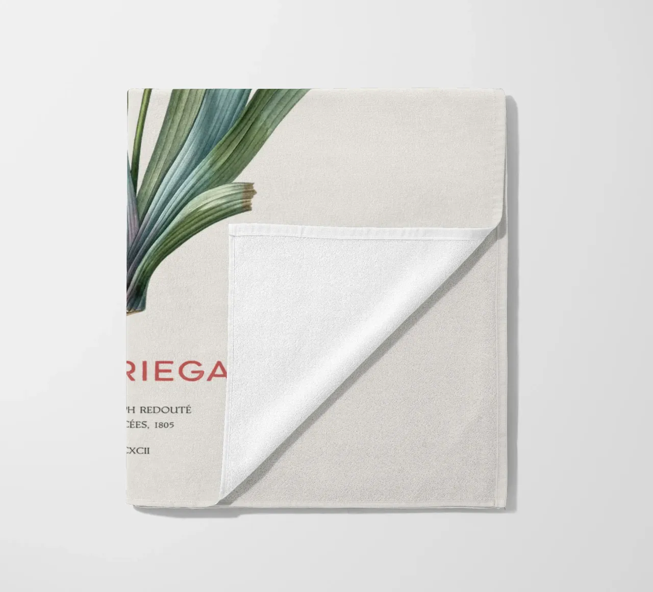 Iris ungherese o Iris variegata telo mare da Vintagrafica