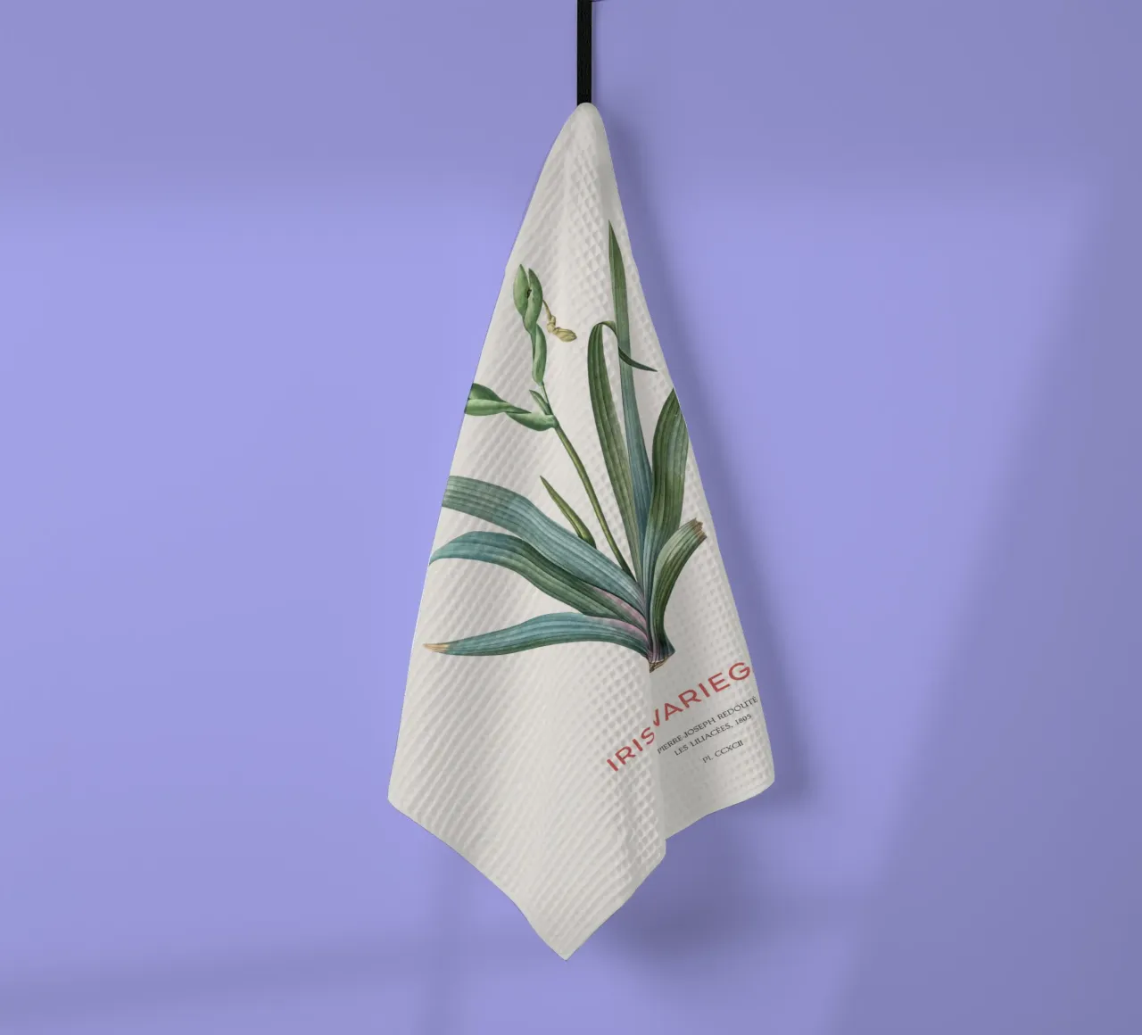 Iris ungherese o Iris variegata canovaccio da cucina da Vintagrafica