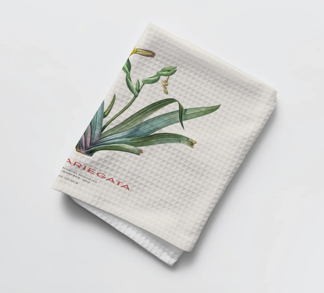 Iris ungherese o Iris variegata canovaccio da cucina da Vintagrafica