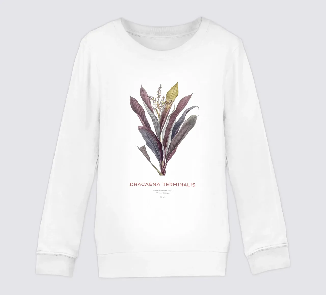 Giglio delle palme o Dracaena terminalis felpa bambino da Vintagrafica