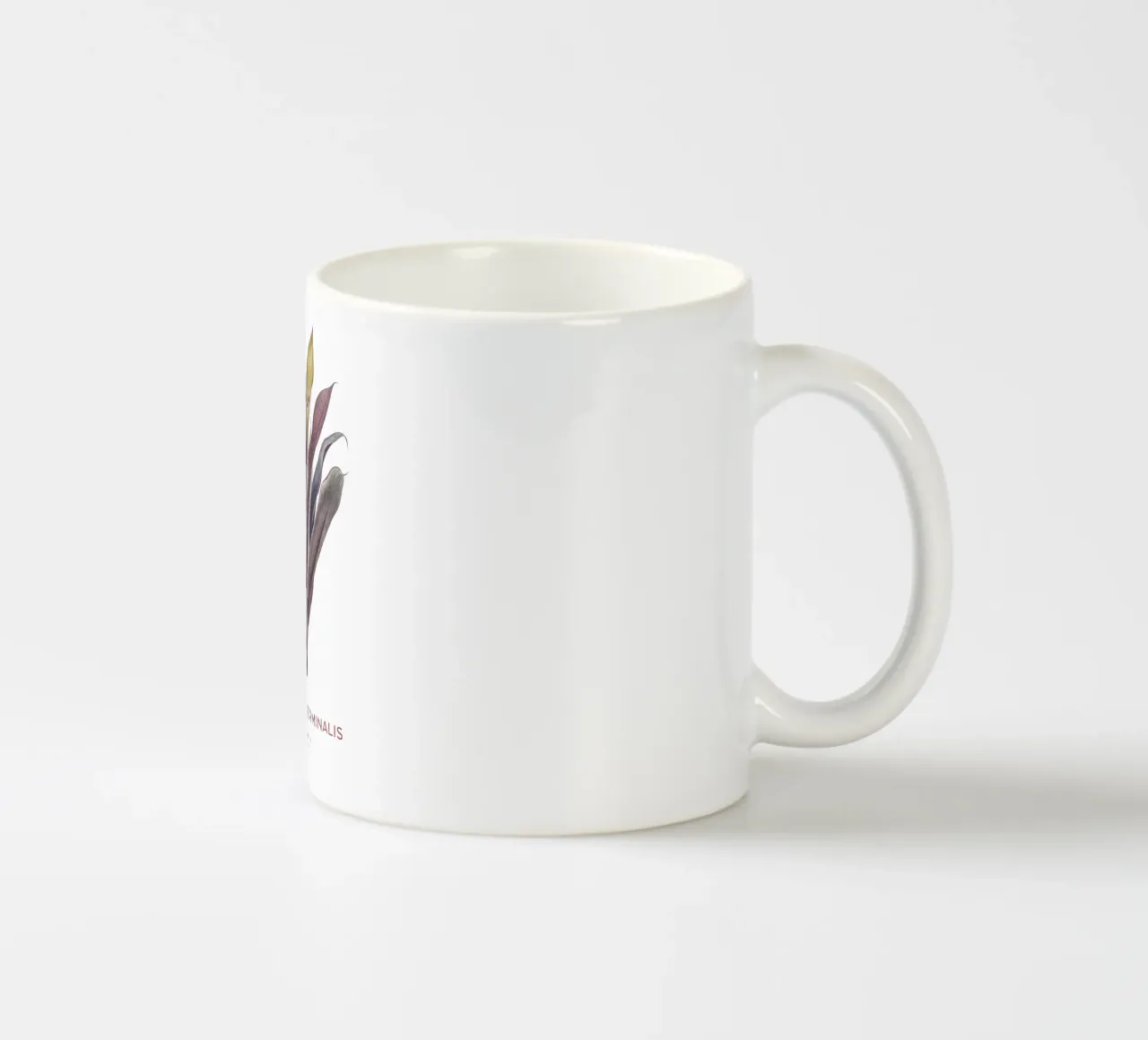 Giglio delle palme o Dracaena terminalis tazza in ceramica da Vintagrafica